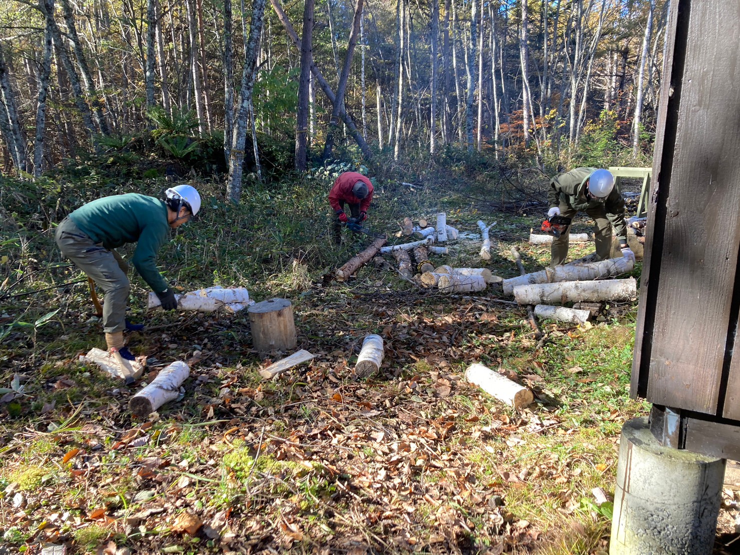ムササビ小屋メンテナンスの様子